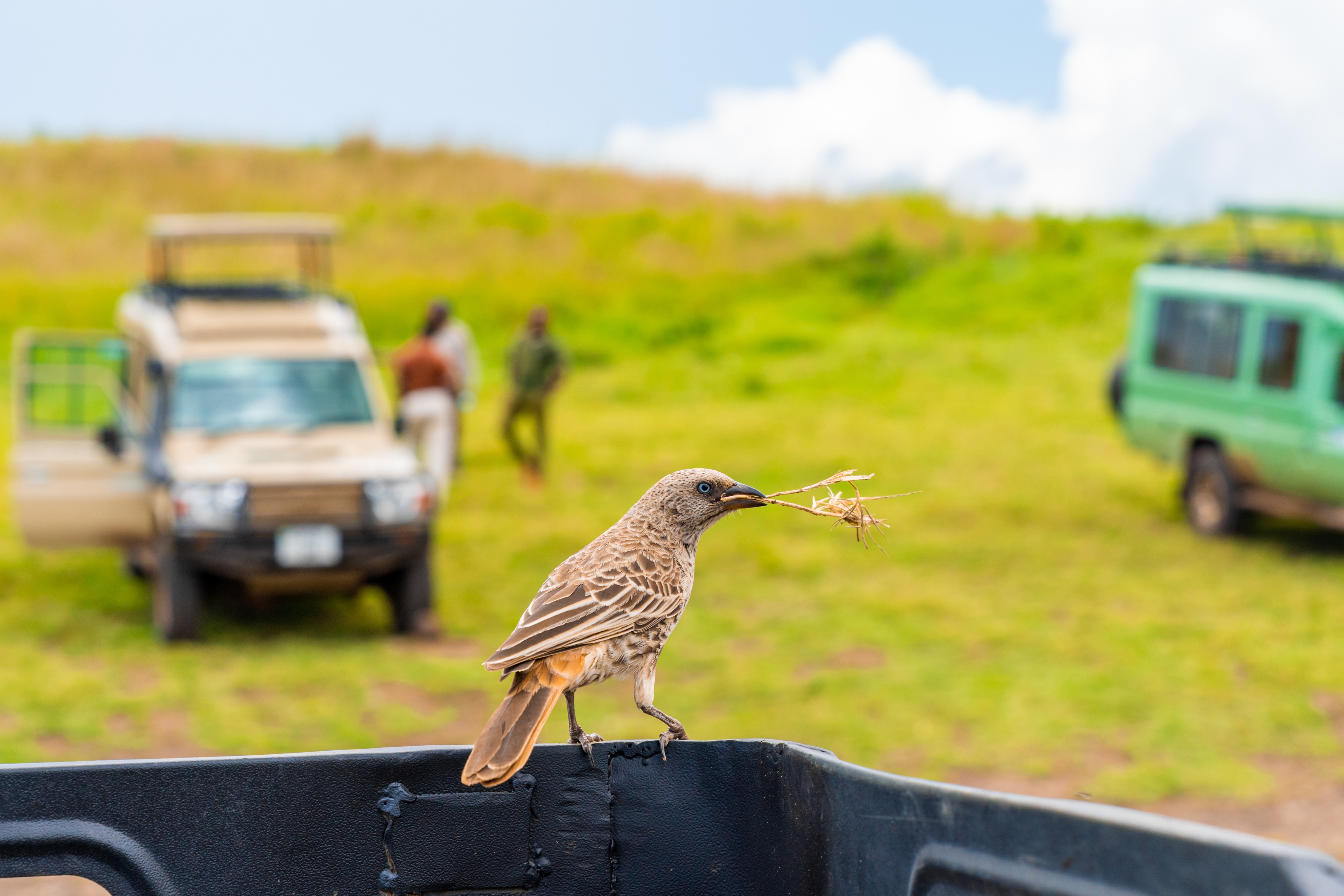 Conservation & Community