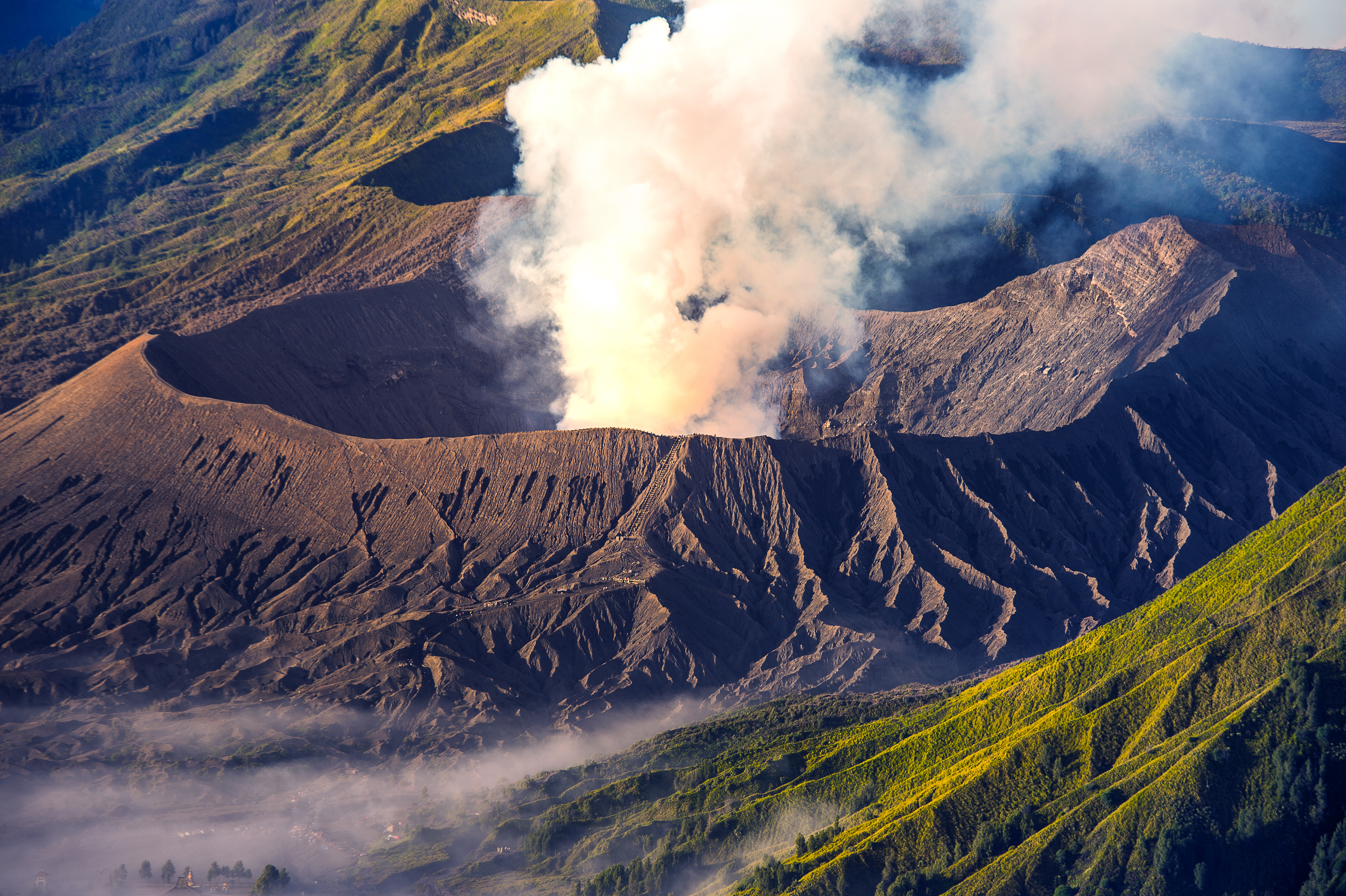 Rwanda gorilla trekking honeymoon