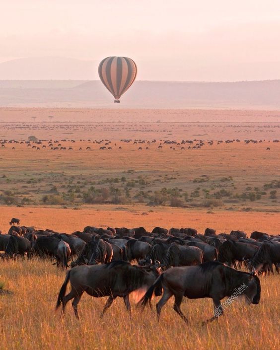 Serengeti, Tanzania