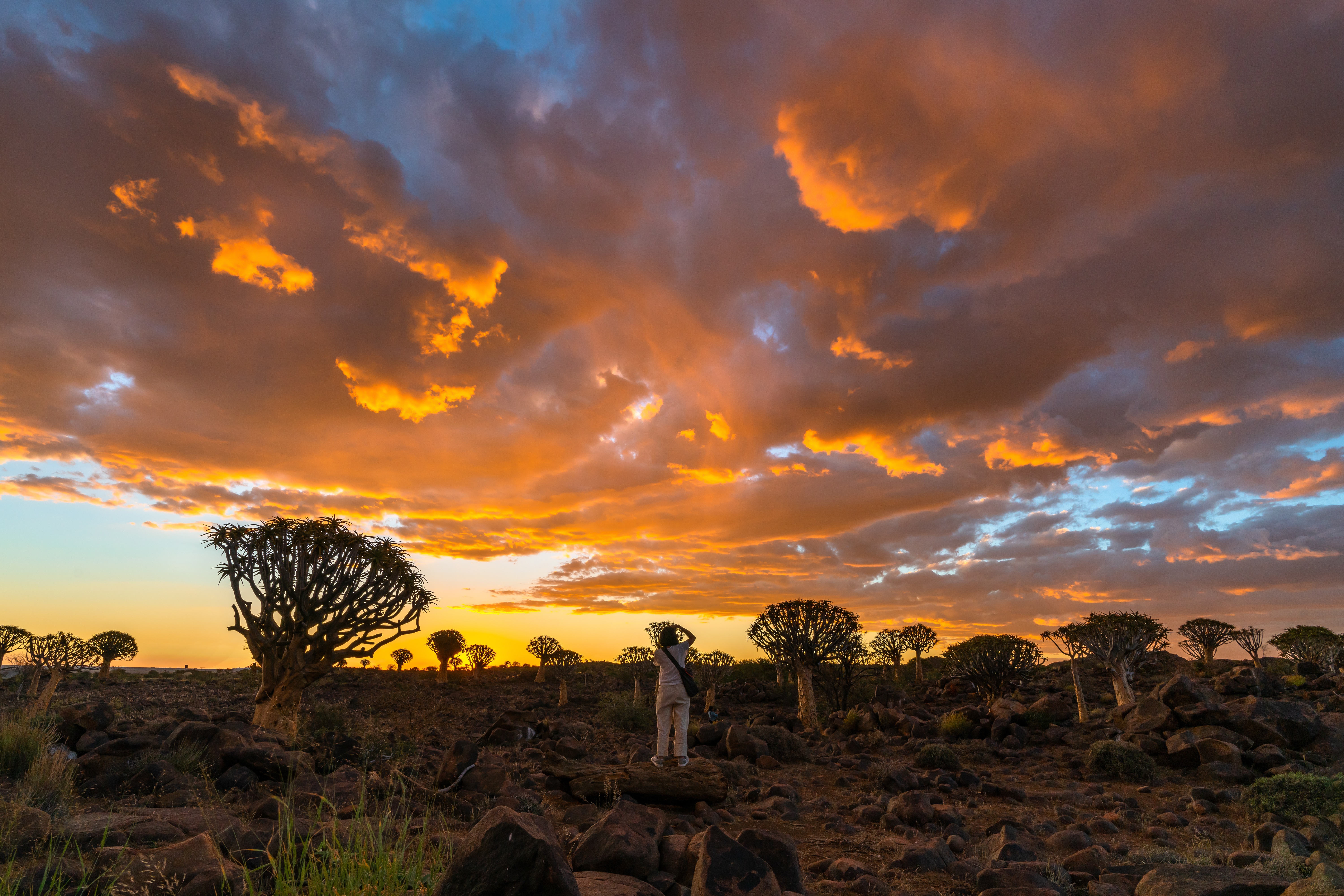Ultimate East Africa